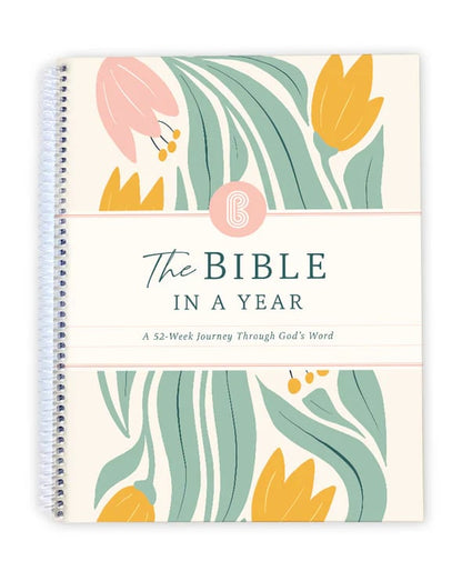🙏🏼 A 52-Week Journey Through God's Word(✨soft cover)