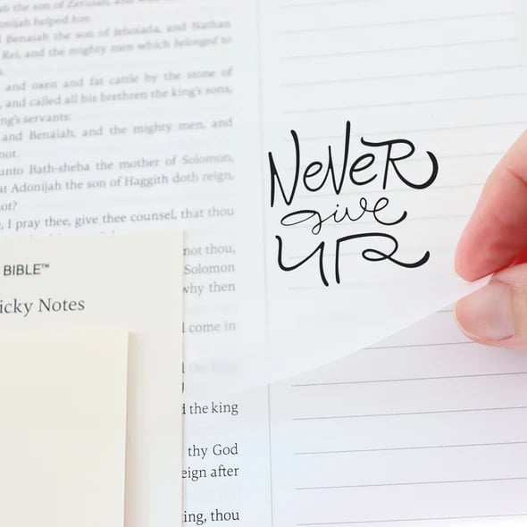 🙏🏼 A 52-Week Journey Through God's Word(✨soft cover)